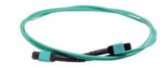 MTP Fibre Backbone Cables